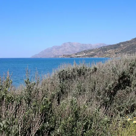 Armenopetra * Keratókambosz